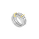  Silver / Gold