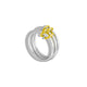  Silver / Gold